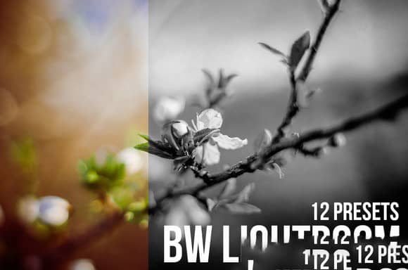 12组专业黑白效果Lightroom预设 12 BW Lightroom Presets.zip
