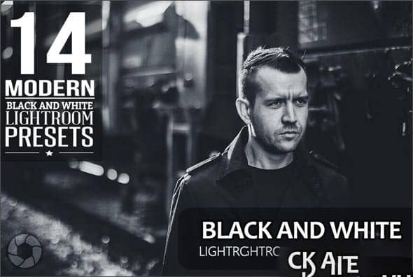 14款经典黑白 Lightroom预设免费下载 Black And White LR.zip