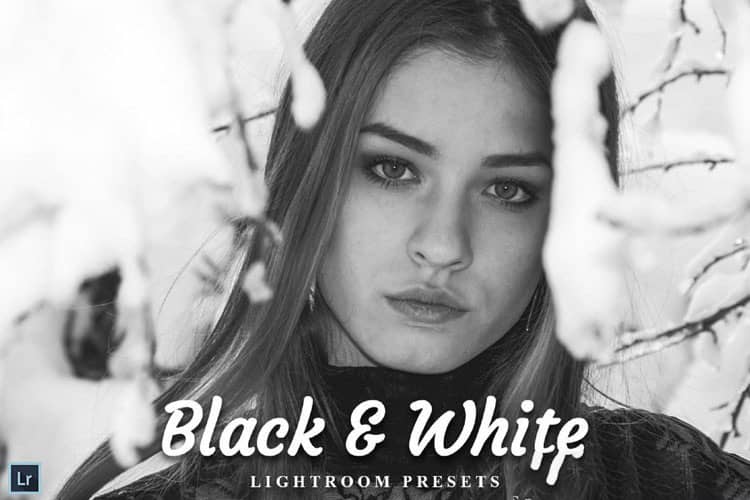 23组黑白Lightroom预设 23 Black & White Lightroom Presets.zip