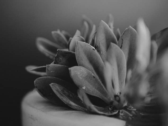 Lightgram出品的黑白胶片lightroom预设.zip