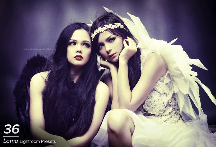 LOMOLightroom预设 36 Lomo Lightroom Presets.zip