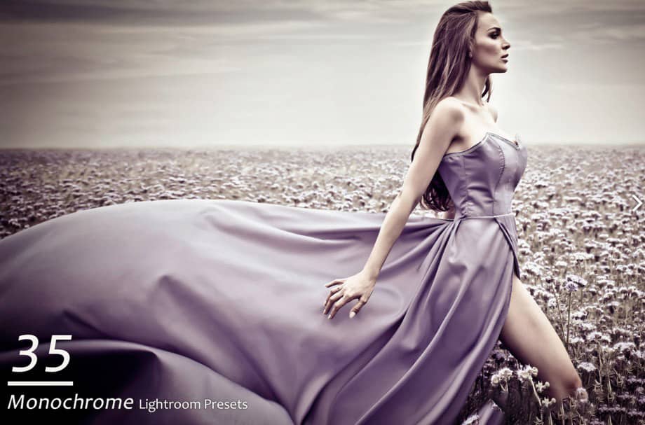 单色人像Lightroom预设 35 Monochrome Portrait Lightroom Presets.zip