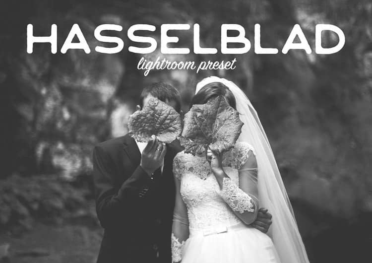 哈苏黑白胶片Lightroom预设 Hasselblad  B&W LR Preset.zip