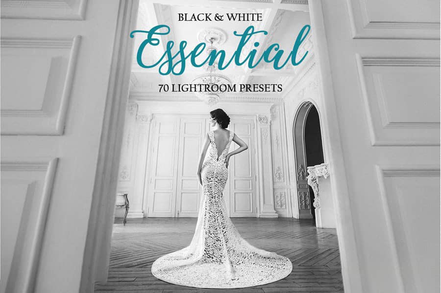 大师级高端婚礼人像黑白胶片Lightroom预设 Black White Lightroom.zip