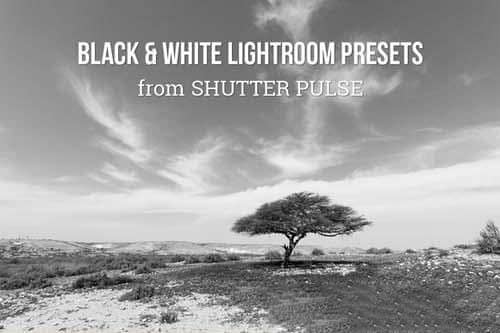 大师级黑与白的Lightroom预设.zip