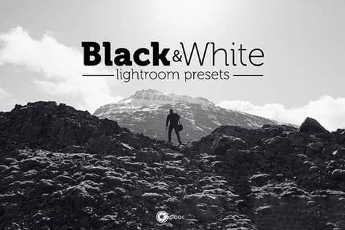 大气黑白电影胶片Lightroom预设.zip