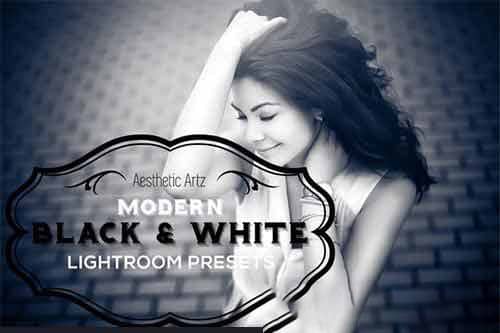 现代黑与白的Lightroom预设 BLACK AND WHITE LIGHTROOM PRESETS.zip