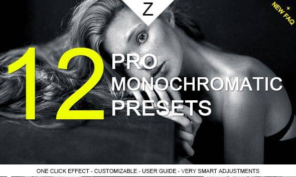 经典单色黑白电影级Lightroom预设 Monochromatic Pro Presets.zip