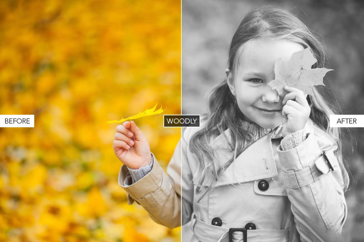 经典黑白人像Lightroom预设 Silvertone Volume 2.zip