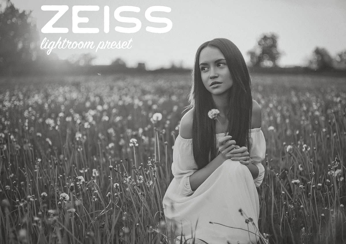 蔡司LR预设-蔡司 Zeiss 经典黑白Lightroom预设.zip