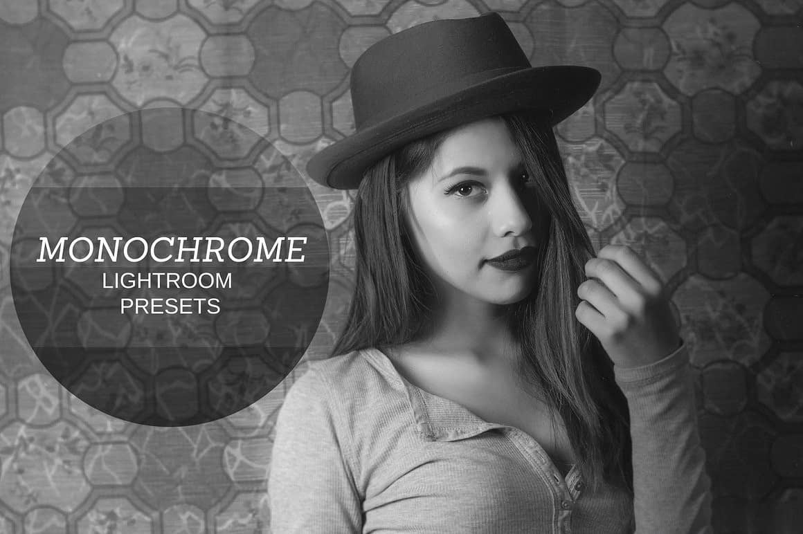 黑白单色Lightroom预设 Monochrome Lightroom Presets.zip