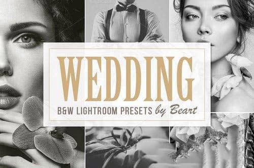 黑白胶片婚纱Lightroom预设.zip