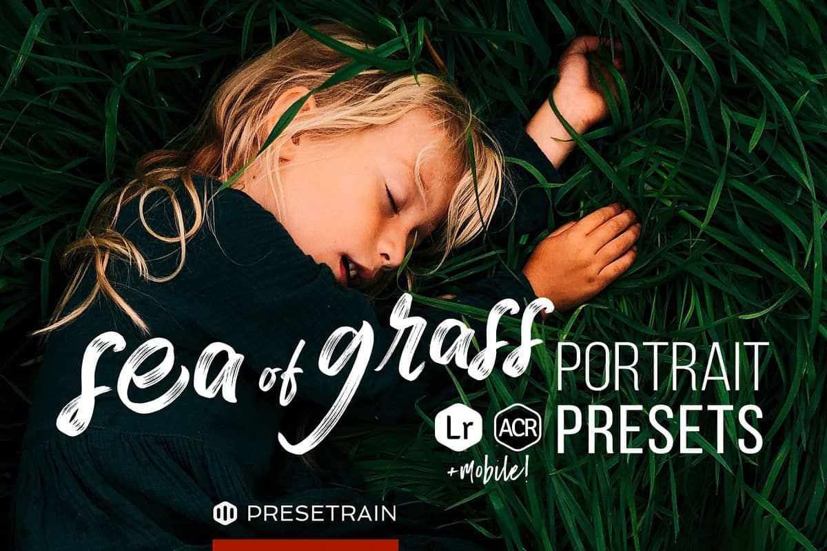 DVLOP自然摄影师嘉纳特电影美学LR预设 DVLOP – Shortstache – The Basesets