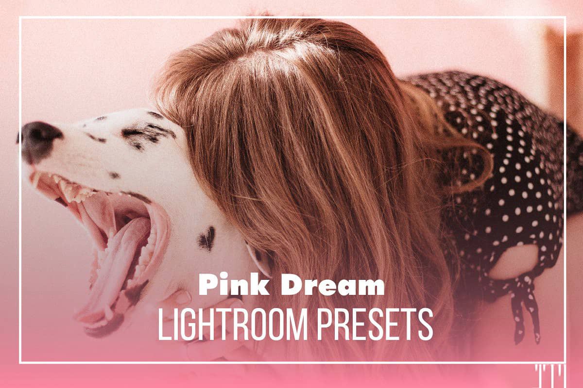 insta时尚博客少女粉彩系列LR预设+移动APP预设 Pink Dream Lightroom