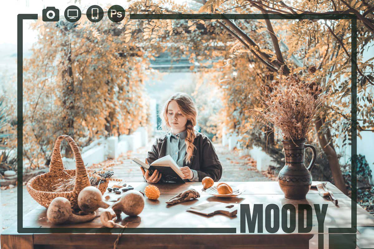 INS大神Shortstache加勒特·金Garrett King完美人像肤色Lightroom预设