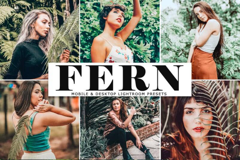 优美意境森系胶片人像后期调色Lightroom预设 Fern Lightroom Presets