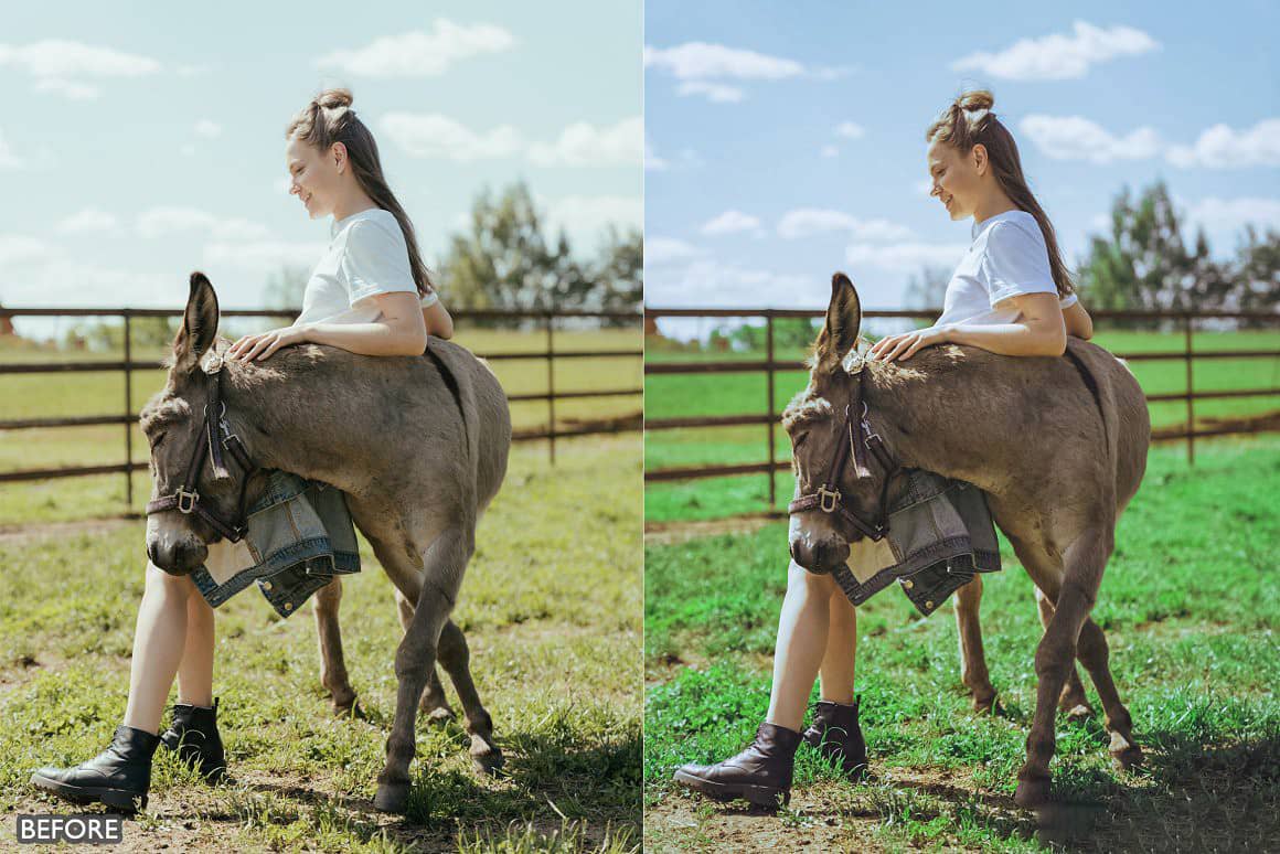 农场生活人像Lightroom 预设 Farm Life Lightroom Presets