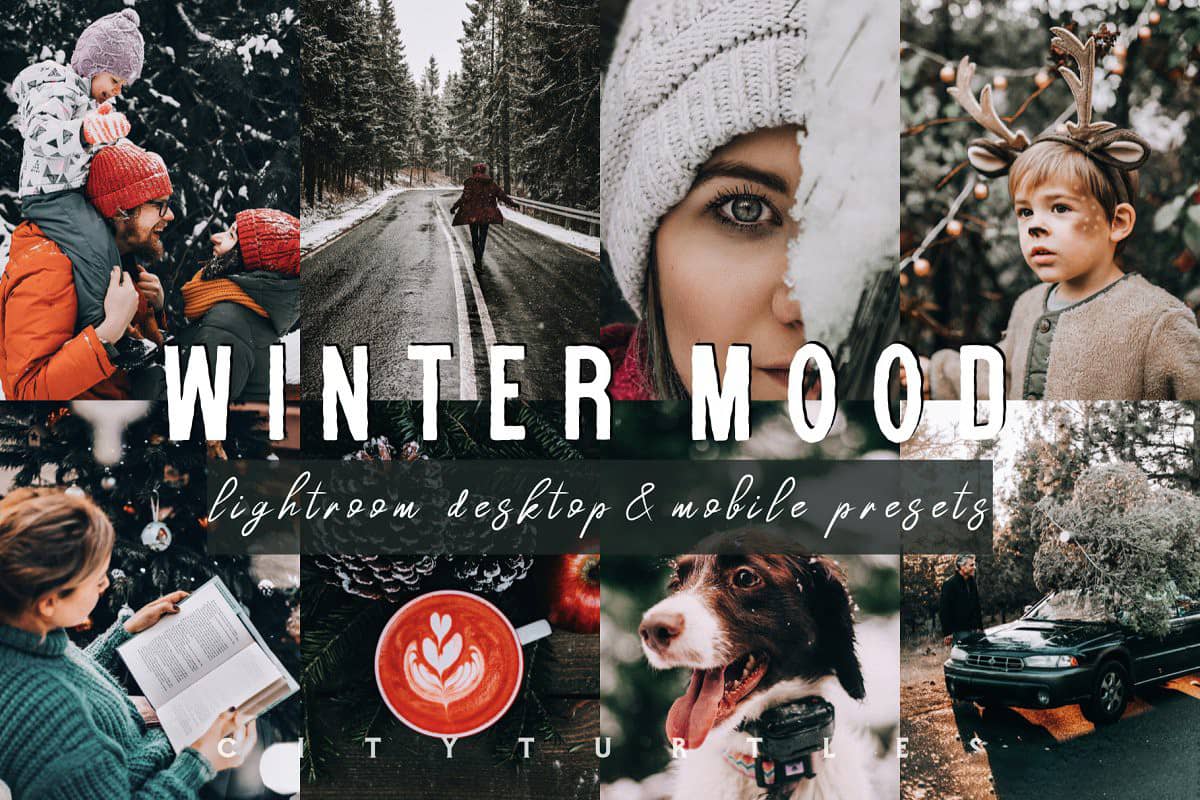 冬季假期人像LR预设+移动APP预设 Moody WINTER MOOD Lightroom Presets