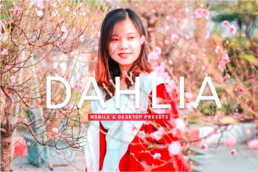 古装电影胶片人像后期调色Lightroom预设 Dahlia Pro Lightroom Presets