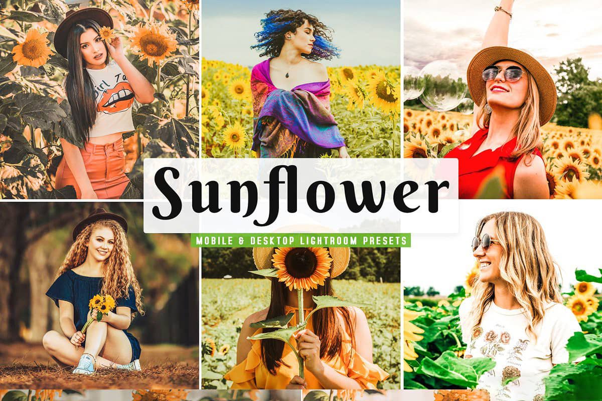 向日葵花田人像LR预设+手机LR预设 Sunflower Lightroom Presets Pack