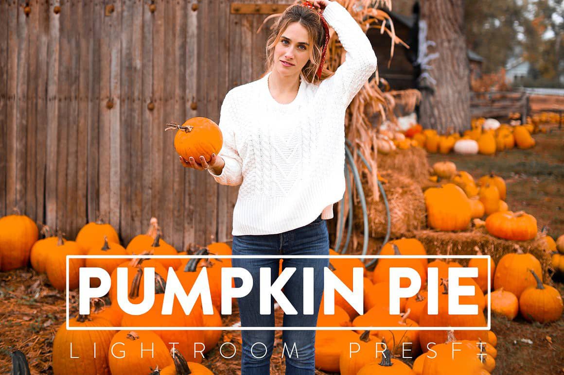 婚礼订婚,情侣爱情故事人像Lightroom预设 Signature Lightroom Presets