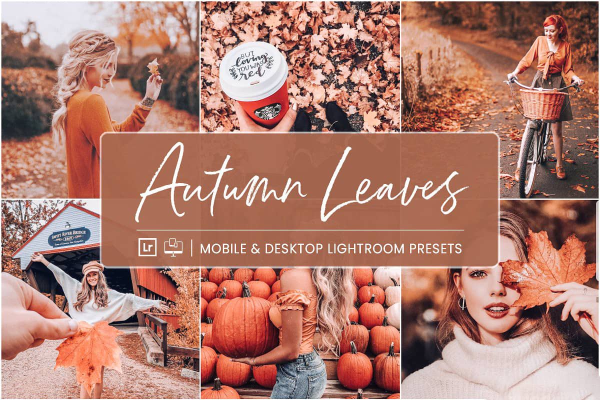 完美秋季人像风景LR预设+手机APP预设 Lightroom Presets Autumn Leaves