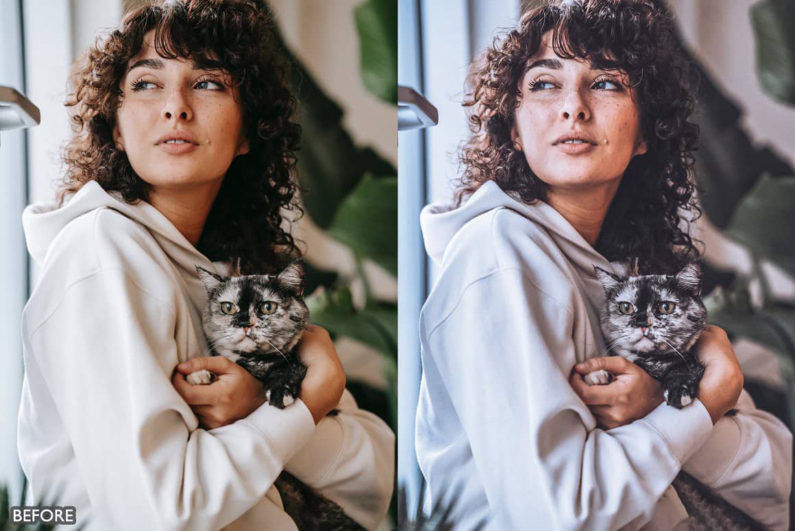 室内胶片人像Lightroom预设及手机版LR预设 Minimal Lightroom Presets