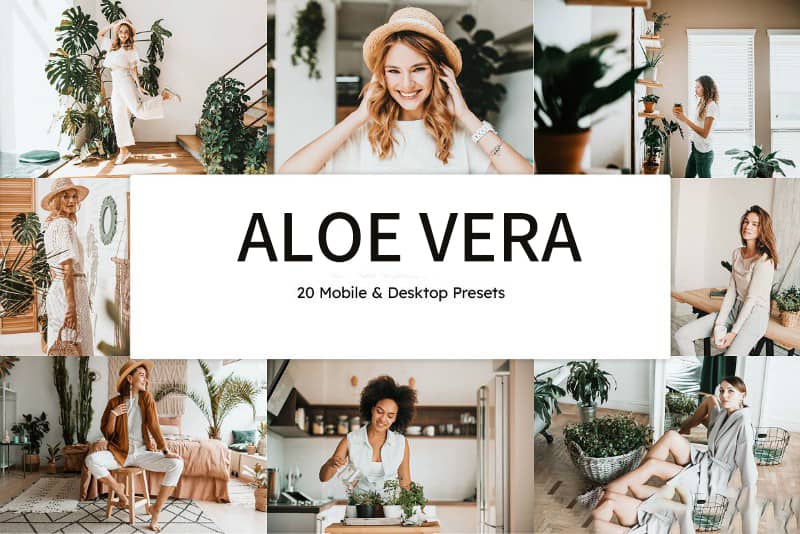 干净明亮柔和芦荟绿人像摄影调色LR