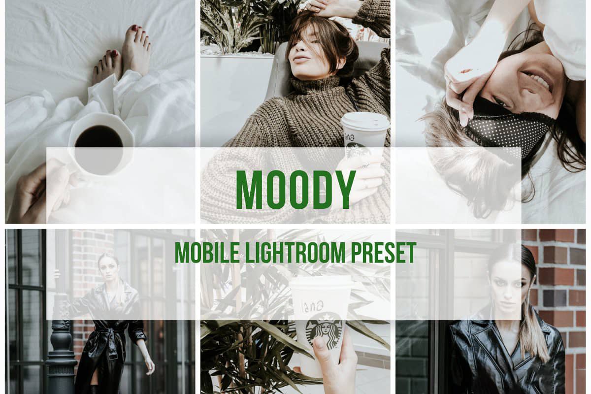 情绪胶片人像Lightroom预设+手机版预设Lightroom Mobile Preset Moody