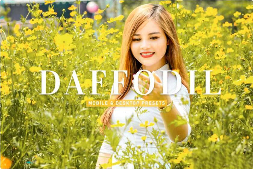 旅行人像摄影后期调色Lightroom预设 Daffodil Pro Lightroom Presets