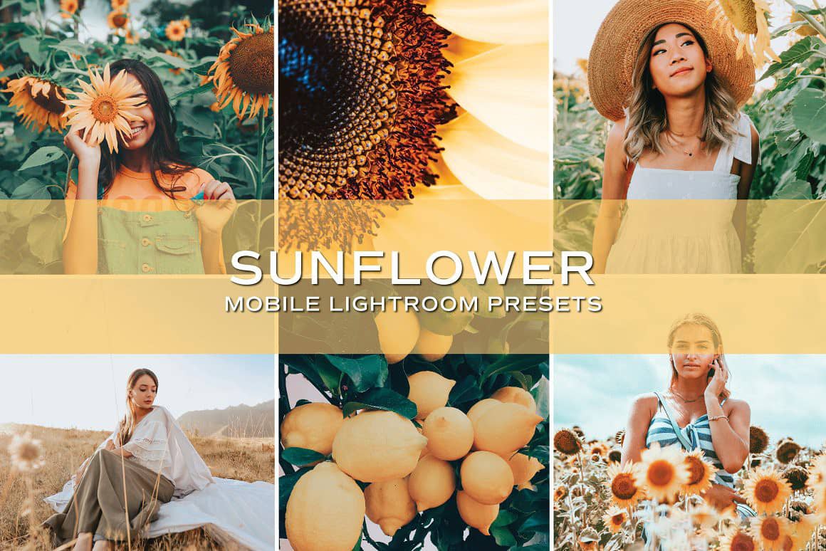 明亮通透家庭人像后期胶片Lightroom预设+APP预设 Family Lightroom Presets