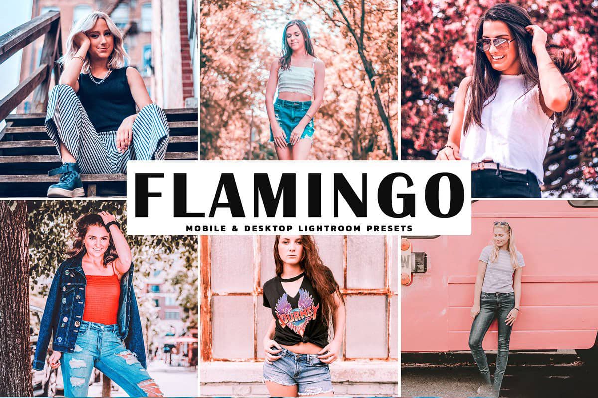 柔和珊瑚粉色调人像LR预设+手机版APP预设 Flamingo Pro Lightroom