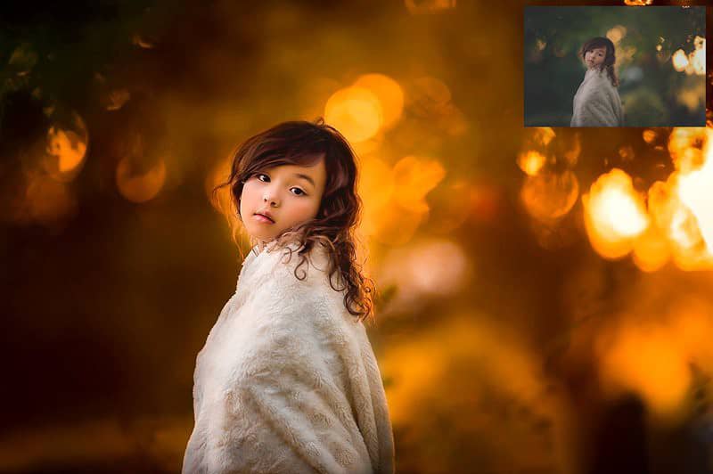 梦幻秋季光斑色彩Lightroom预设 Color Fall Lightroom Presets