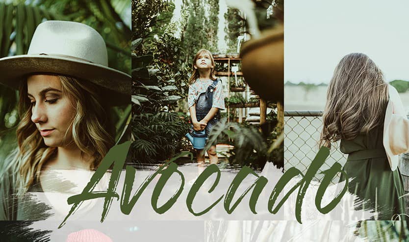 牛油果复古色调Lightroom预设+ Mobile Lightroom Presets