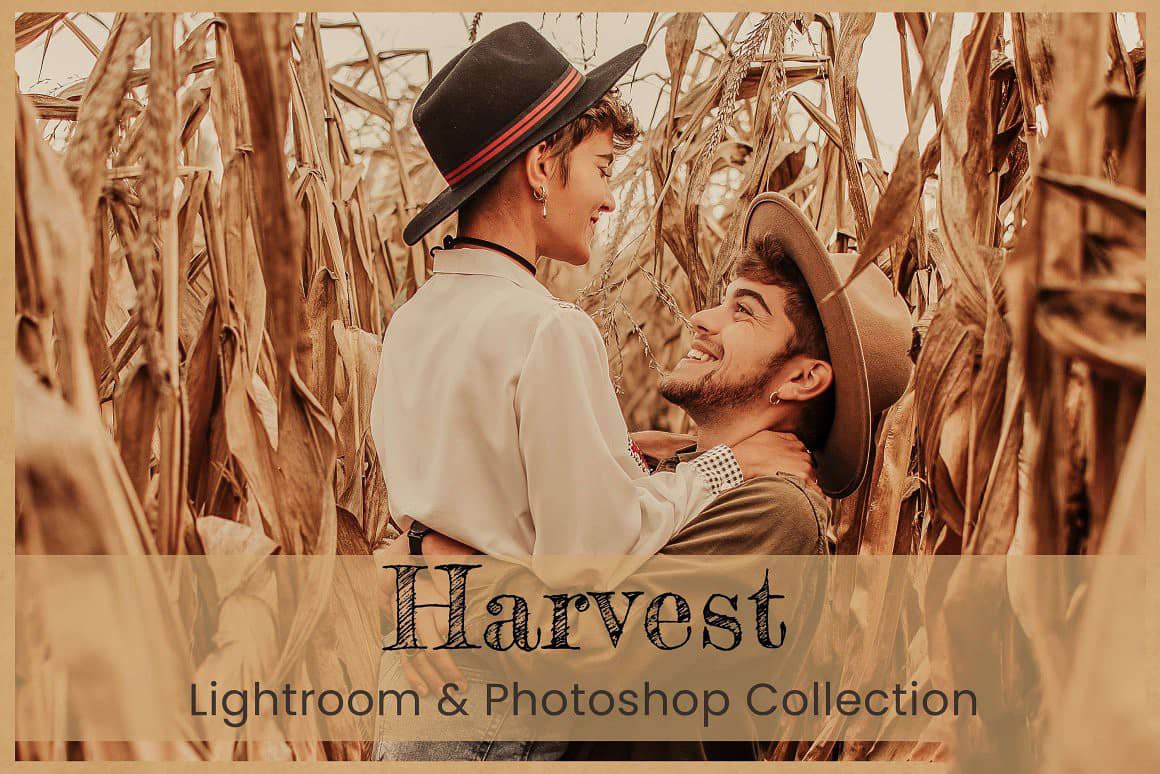 秋季人像摄影后期调色Lightroom预设及路途预设 Harvest Lightroom LUTs