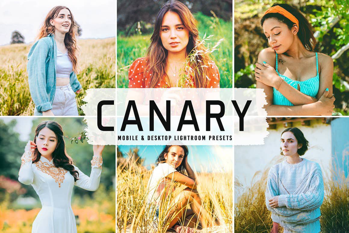 适用于阳光人像后期调色Lightroom预设  Canary Pro Lightroom Presets