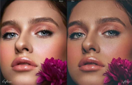 高级人像后期Lightroom预设