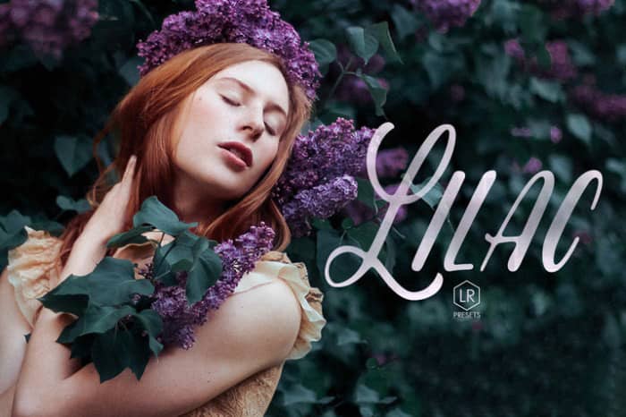 17丁香色调Lightroom预设Lilac 17 Toning Lightroom Presets