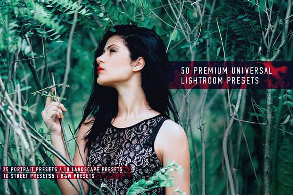 50专业高级通用完美Lightroom预设包
