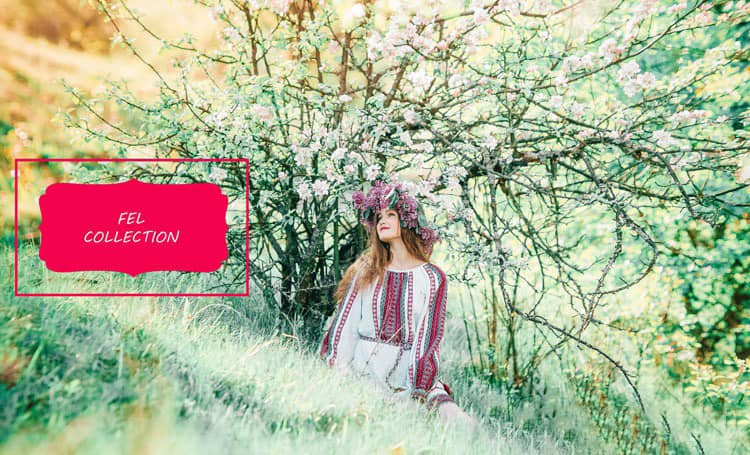 FEL Lightroom collection