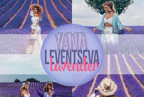 ins摄影博主Yana Leventseva薰衣草系列Lightroom预设 Lavander Lightroom