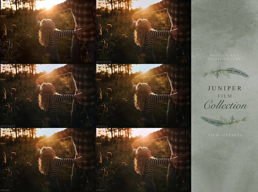 Paisley Ann黄金时段电影胶片Lightroom预设 JUNIPER FILM COLLECTION