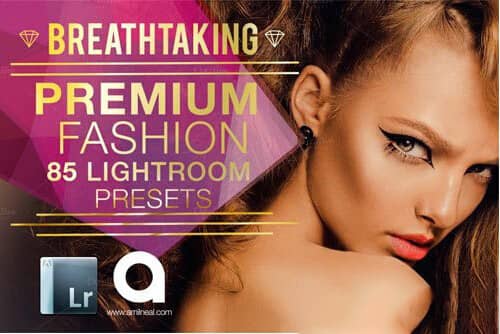 欧美时尚摄影Lightroom预设 85枚 85 Fashion LR Presets