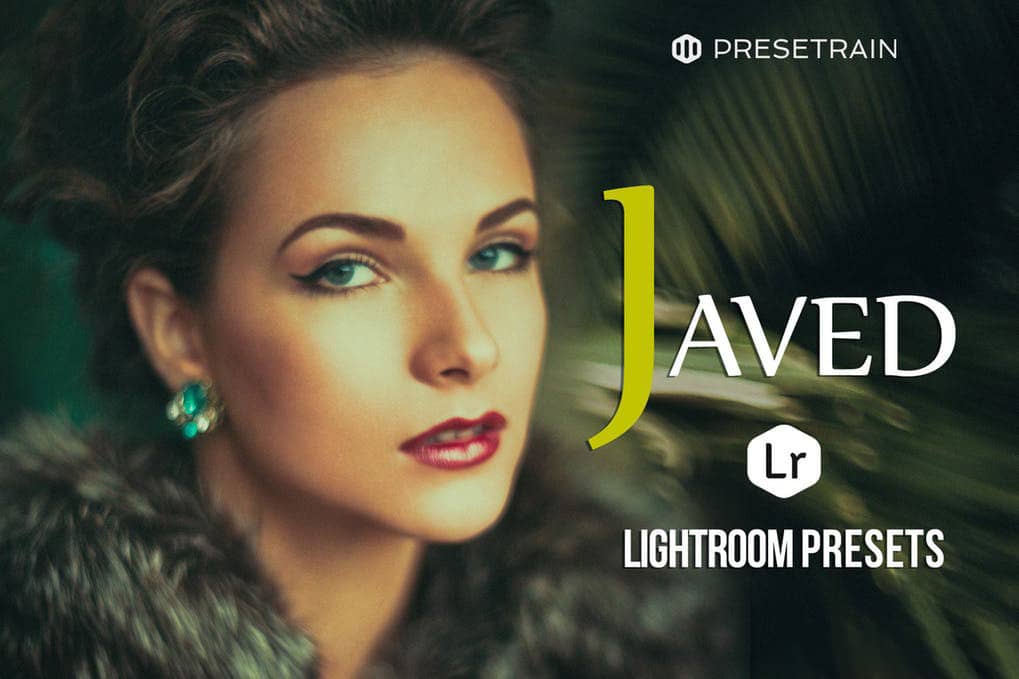 油画复古风人像摄影LR预设下载 Presetrain Javed Lightroom Presets