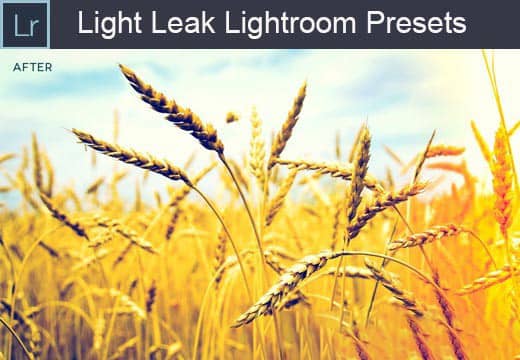 漏光光效Lightroom预设 Light Leak Lightroom Presets免费