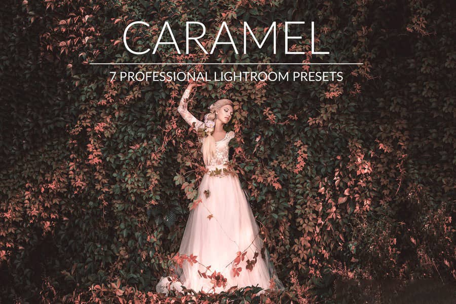 焦糖温暖金色调Lightroom预设 Caramel Lr Presets