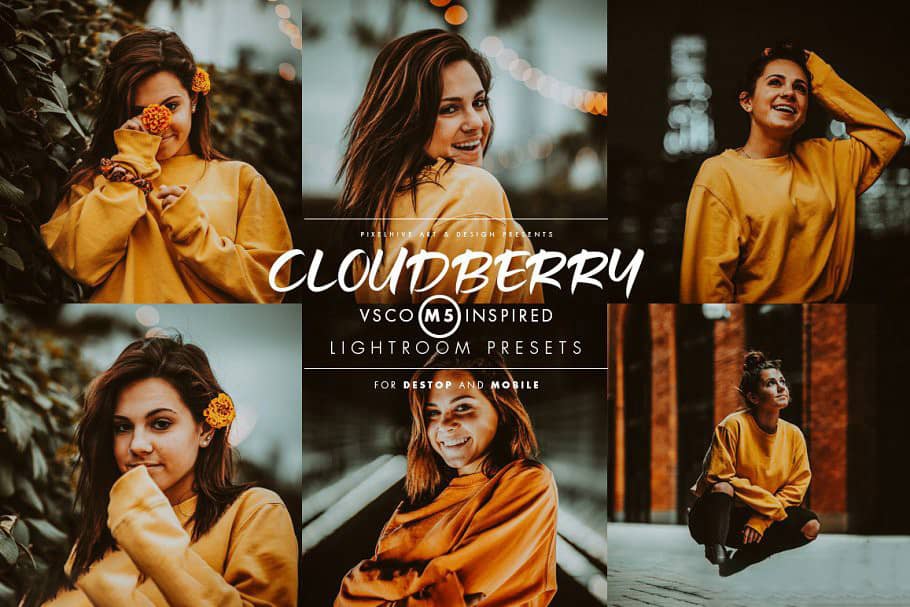 现代VSCOCam M5人像Lightroom预设 Cloudberry Lightroom Preset