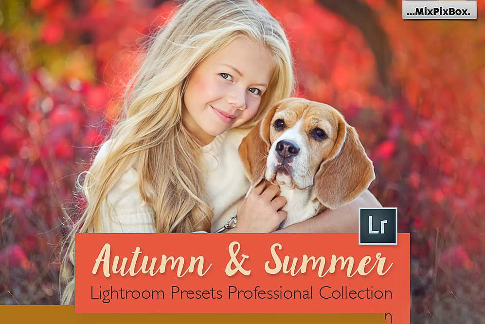 秋天和夏天的Lightroom收集
