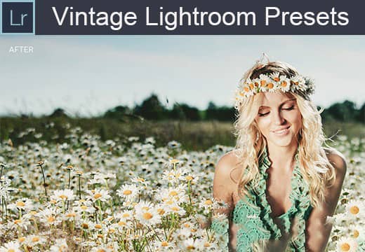 老式复古照片Lightroom预设 Vintage Lightroom Presets