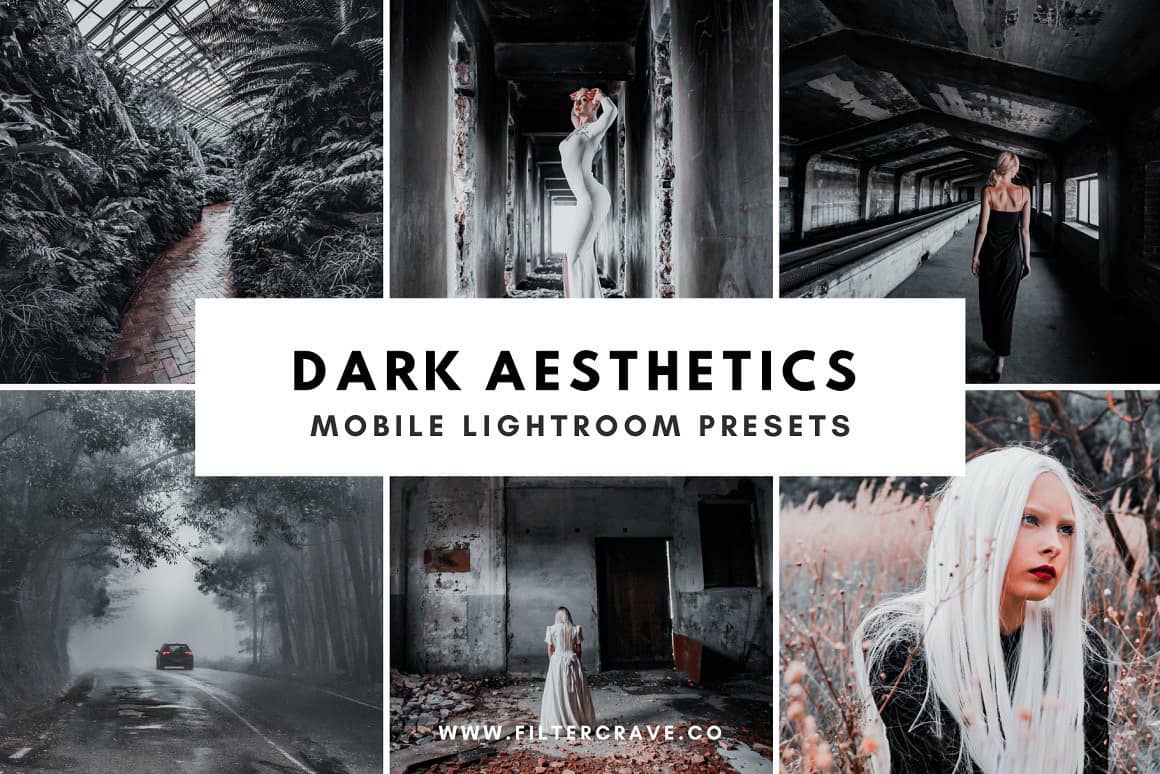 黑暗美学情绪人像Lightroom预设 Dark Aesthetic Lightroom Presets